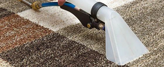 Carpet Cleaning in Paradise Valley