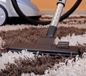 Carpet Cleaning in Phoenix