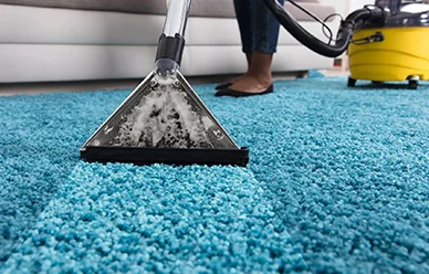 Pet & Child Friendly Cleaning Methods