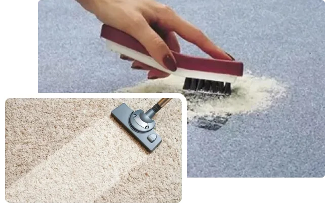 Ready for Cleaner, Fresher Carpets in Tempe?