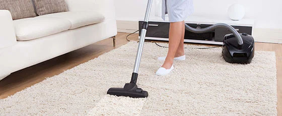Professional Carpet