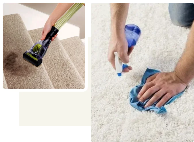 Your Local Carpet Cleaning Professionals