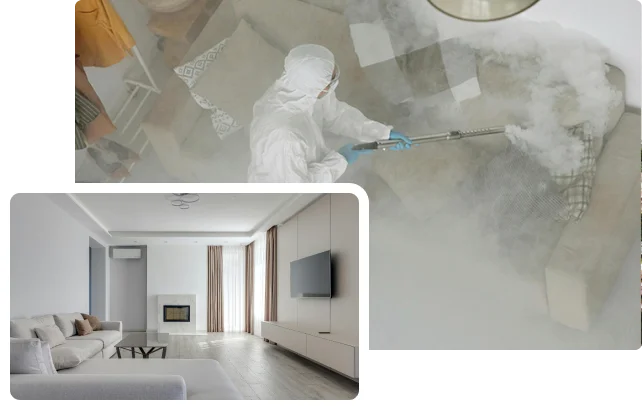 Extend the Life of Your Couch with Regular Cleaning