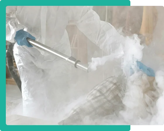 Steam Cleaning