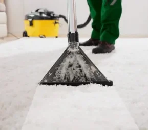 Carpet Cleaning in Phoenix