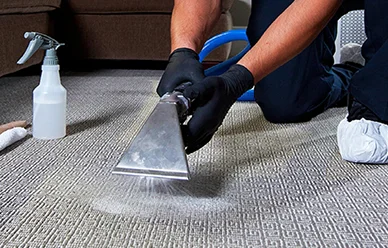 Tailored Cleaning for Your Home