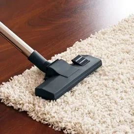 Carpet Cleaning in Paradise Valley