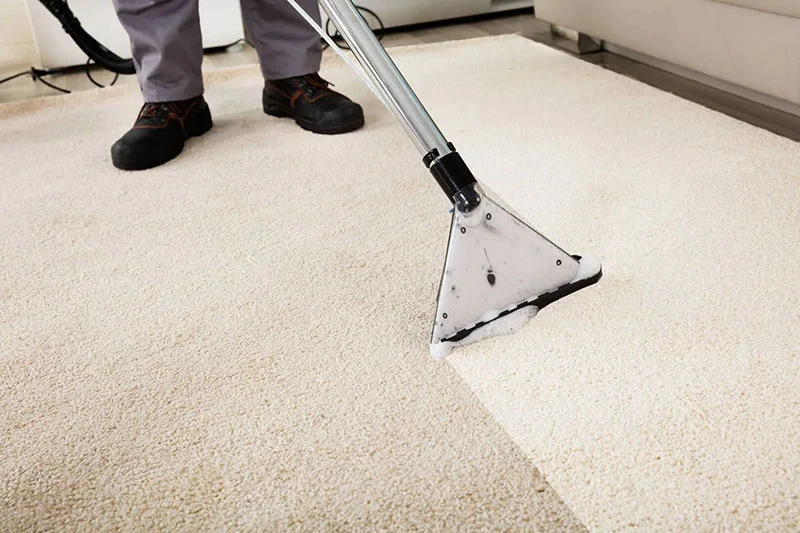 Mint is Your Go-To Carpet Cleaning Company in Arizona